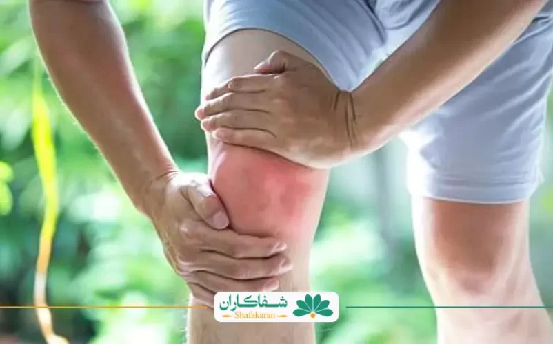 درد داخل زانو | شفاکاران