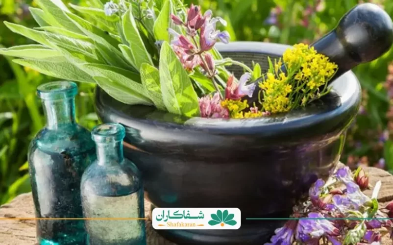 درمان گیاهی دیسک کمر| شفاکاران