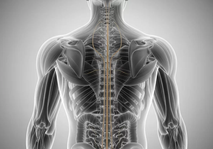 بیماری‌های ستون فقرات: از علائم رایج تا روش‌های پیشگیری و درمان