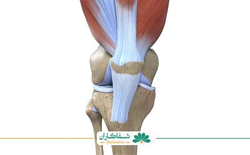  درد زانو هنگام خم شدن