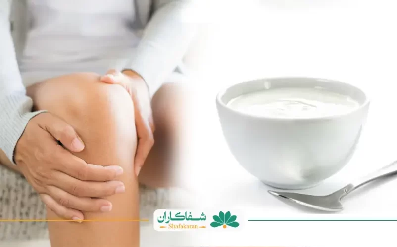 ماست و زانو درد | شفاکاران